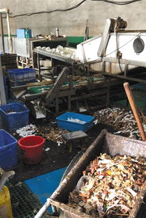 對(duì)手抹黑還是行業(yè)亂象？消毒餐具工廠曝光事件背后的博弈